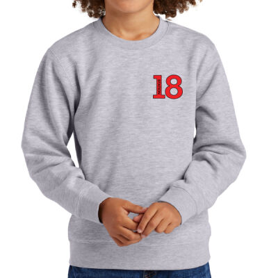 Youth Crew Neck Sweatshirt Thumbnail